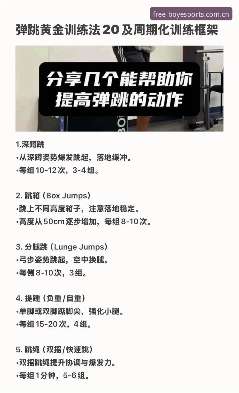 博业体育平台实战操作教程：从入门到精通的专属体验使用技巧